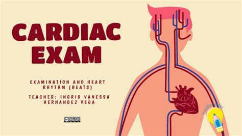 CARDIAC EXAM