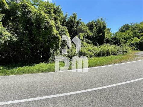 Terreno Agricolo Strada Provinciale Di Santa Caterina Lusiana Conco