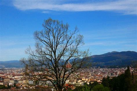 Dal Al Febbraio A Firenze Tourisma Il Salone Di Archeologia