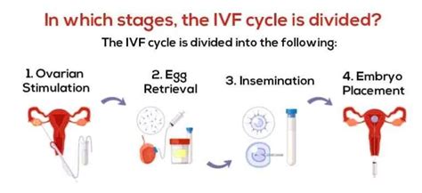 What Is The Benefit Of Undergoing The Full Cycles Of Ivf Treatment