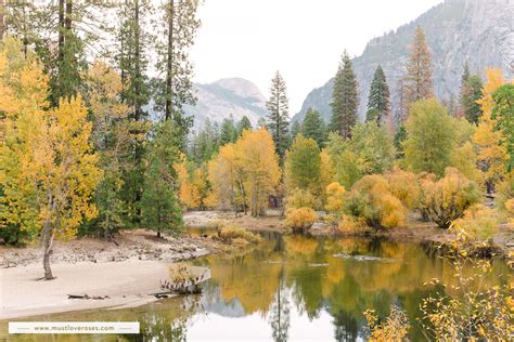 The Best Places to See Fall Colors in Yosemite National Park