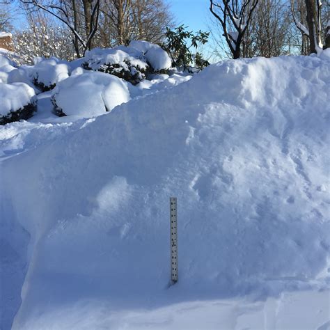 Wide World of Weather: Surprising Trends in D.C. Snowfall