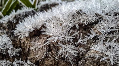 Começa uma sequência de dias madrugadas de frio e geada