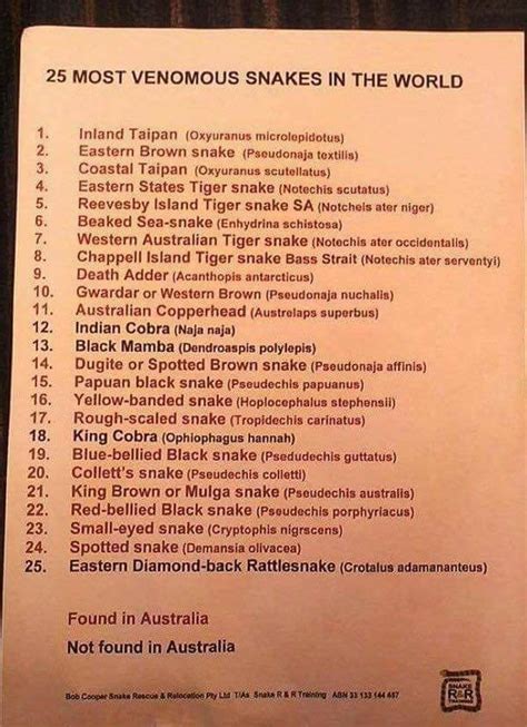 List Of Most Poisonous Snake In The World Snake Poin