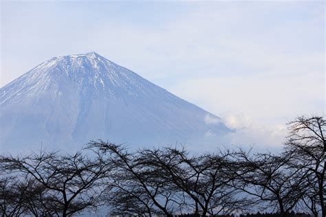 Free Images Tree Nature Snow Winter Cloud Sky Sunlight Hill