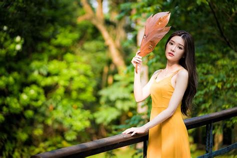 Asian Women Model Long Hair Brunette Trees Leaves Yellow Dress