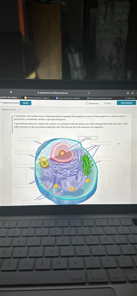 Solved Question 6 Of 13 A Eukaryotic Cell Contains Many Chegg