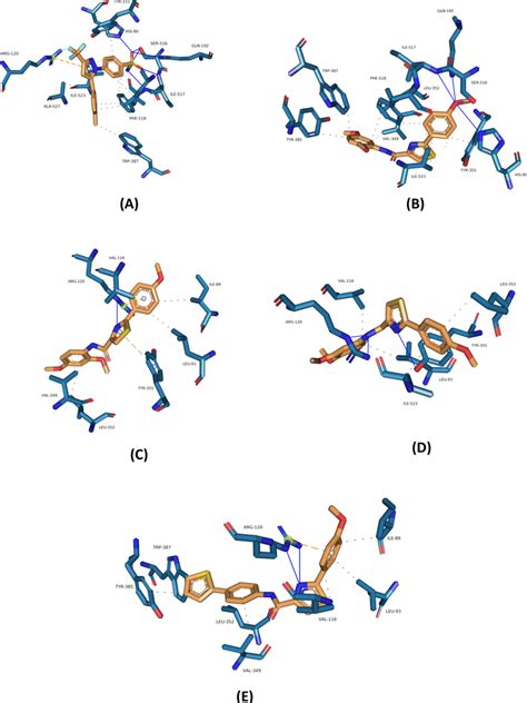 Crystal Binding Mode Of A Celecoxib And Predicted Binding Download Scientific Diagram