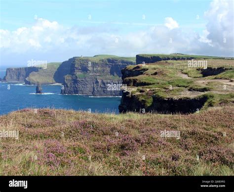 colorful ocean views green grassy rocks rocks  blue water