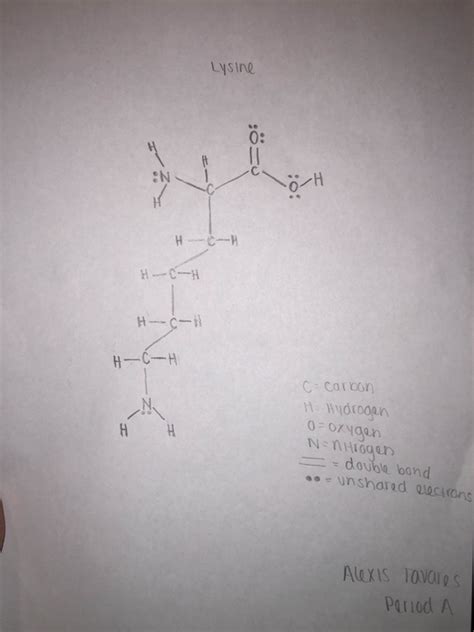 Structure Of Lysine