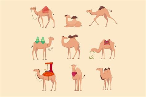 Desert Camels African Funny Animals Graphic By Onyxprjart · Creative