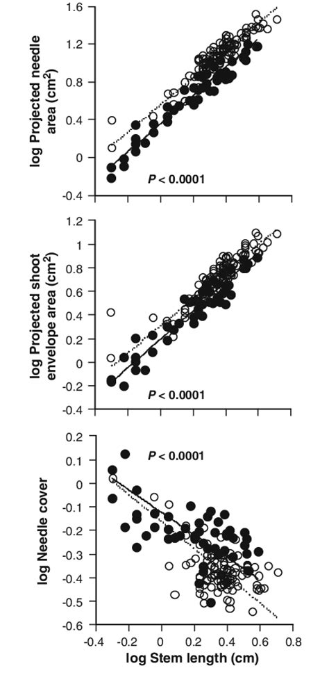 Allometric Relationships Between Stem Length L S0 X And Parameters