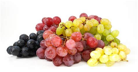 77,200+ Grape Varieties Stock Photos, Pictures & Royalty-Free Images - iStock