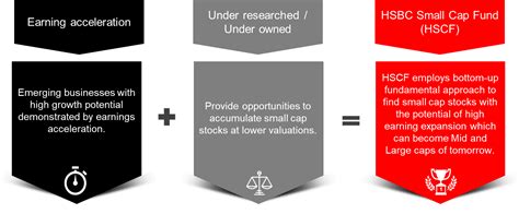 HSBC Small Cap Fund HSBC Mutual Fund India