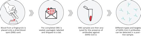 Dried Blood Spot Assays A Review COVID 19 Immunity Task Force