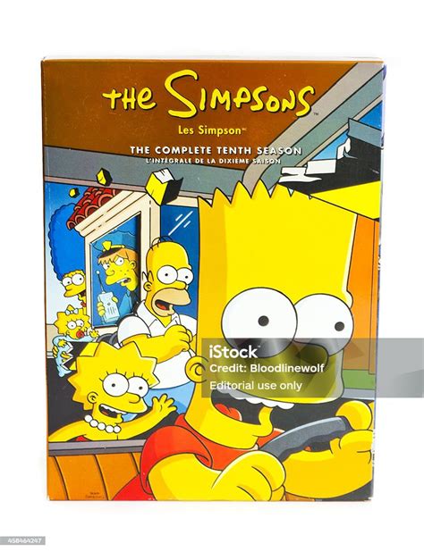 Simpsons Season 14 Dvd Disc