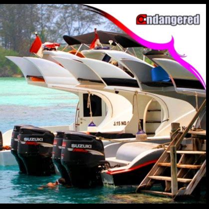 Jual Rental Charter Private Kapal Speedboat Marina Ancol Pulau Seribu