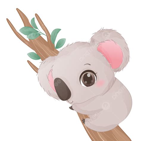 Adorable Little Koala Illustration Koala Clipart Koala Illustration