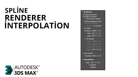 Ds Max Spline Renderer Nterpolation Youtube