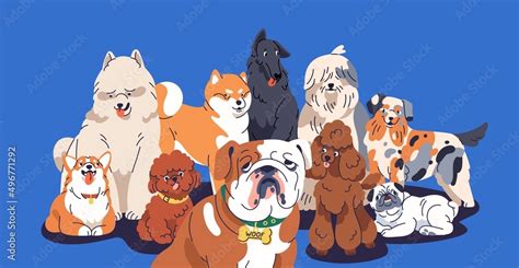 Group Of Cute Dogs