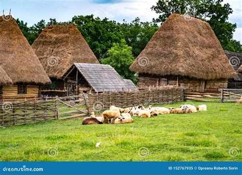 Typical Romanian Village with Old Peasant Houses Stock Image - Image of ...