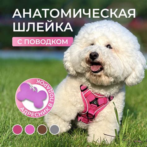 Шлейка для собак мелких и средних пород, кошек Zappy с поводком для ...
