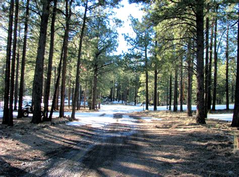 Apache/Sitgreaves National Forest, AZ