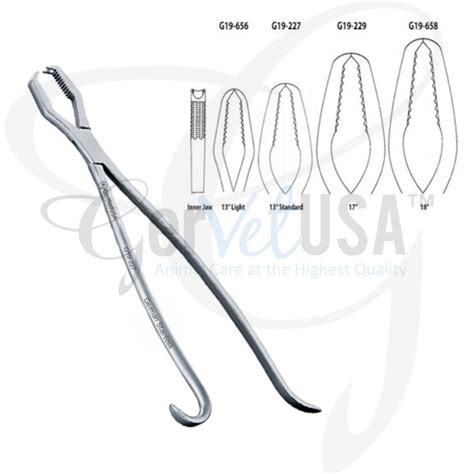 Lane Bone Holding Forceps Without Ratchet GerVetUSA Inc