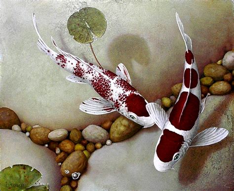 Surreal Archives Koi Fish Paintings By Terry Gilecki