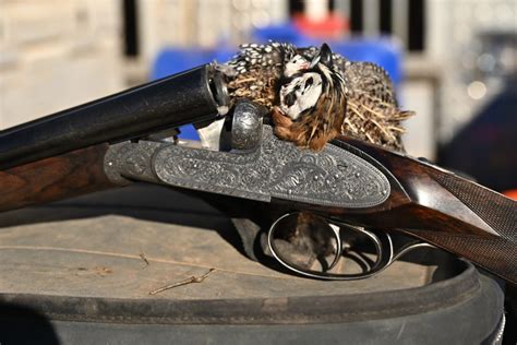 Arizona Quail Hunting Dates for the 2023/24 Season - Dave Brown