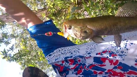 Primeiro Dia De Pesca Isca Artificial Youtube