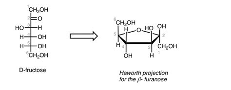 Converting a Fischer Projection To A Haworth (And Vice Versa)