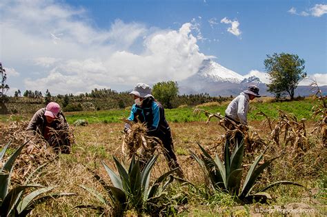 Proceso Eruptivo Del Volc N Cotopaxi On Behance