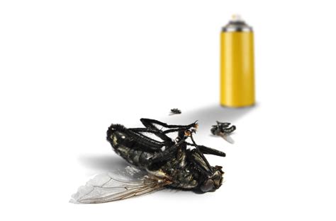 ultimate guide  insect killer aerosol  essential tool  industry