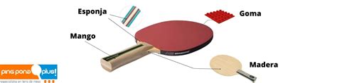 Partes De Una Pala De Ping Pong