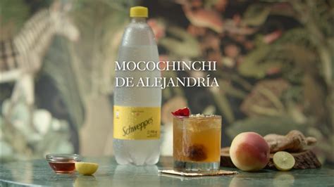 Schweppes Cocktails Mocochinchi De Alejandr A Youtube