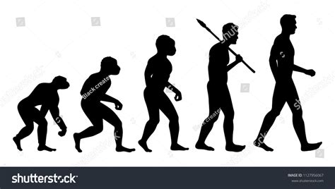 Monkey Evolution Images: Browse 8,063 Stock Photos & Vectors Free Download with Trial | Shutterstock