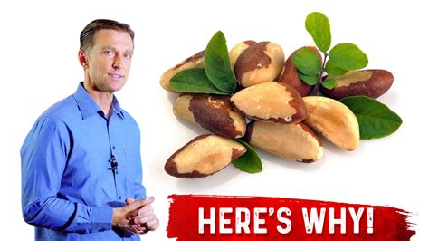 Brazil Nuts And Selenium: The Unexpected Truth | Healthy Keto™ Dr. Berg