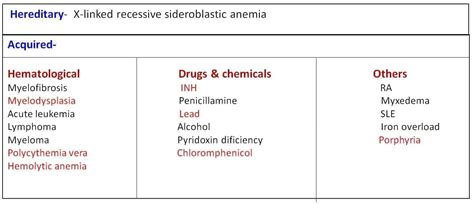 Sideroblastic Anaemia New