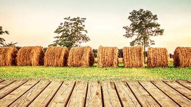 wood hay  stubble daily devotional inspiration ministries