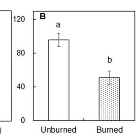 Differences In Total Aboveground Biomass A Total B Tree Layer C