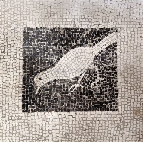 Bird Mosaic House Of Paquius Proculus Pompeii Italy Manuel Cohen