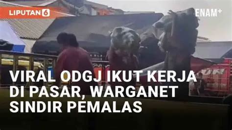 Video Viral Odgj Ikut Kerja Angkat Sayuran Di Pasar Warganet Sindir