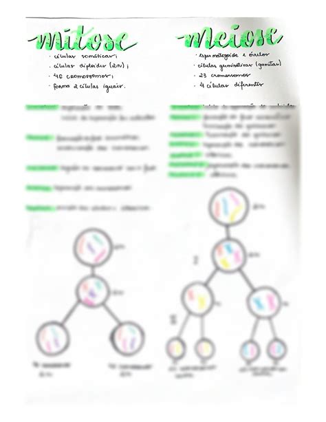 Solution Mitose E Meiose Studypool