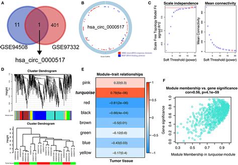 Frontiers Up Regulation Of Hsa Circ 0000517 Predicts Adverse