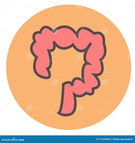 Human Intestines Vector Illustration Stock Vector Illustration Of