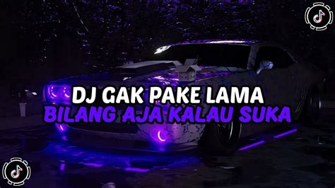 Dj Gak Pake Lama Bilang Saja Kalau Kau Suka Dj Dan Aku Juga Suka