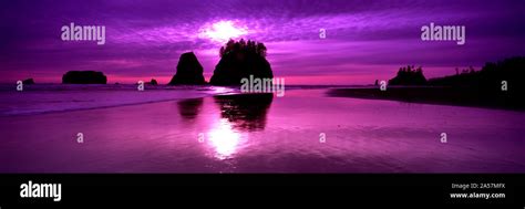 Silhouette Of Sea Stacks At Sunset Second Beach Olympic National Park