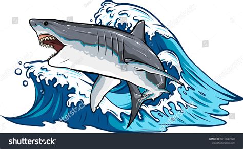 Shark Cartoon Images