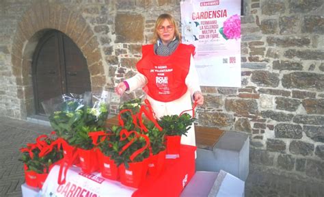 Bentornata Gardensia L Impegno Di Paola Tarducci Contro La Sclerosi